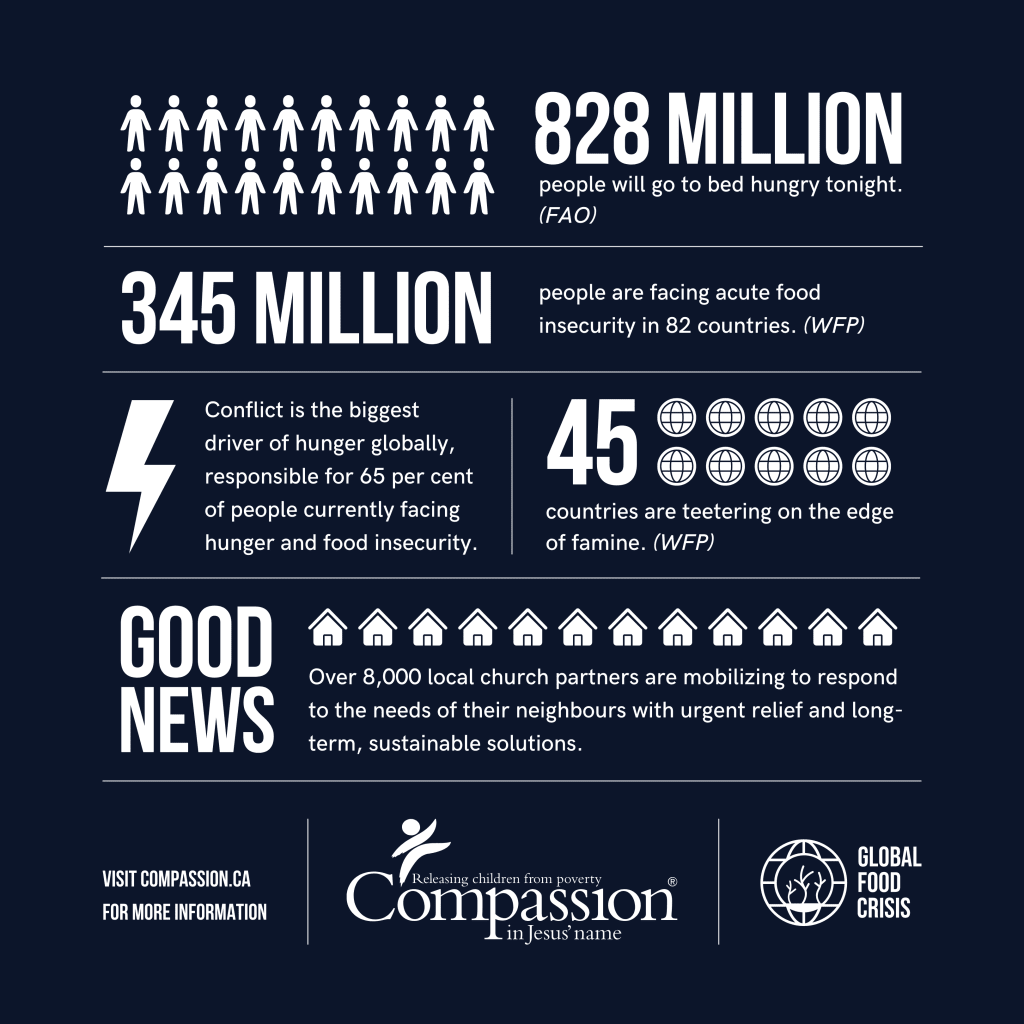 An infographic with stats about the global food crisis